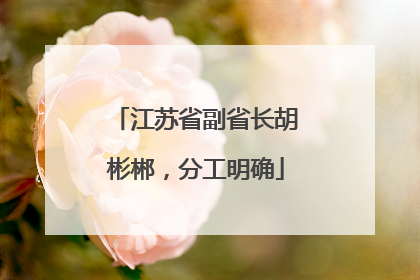 江苏省副省长胡彬郴，分工明确