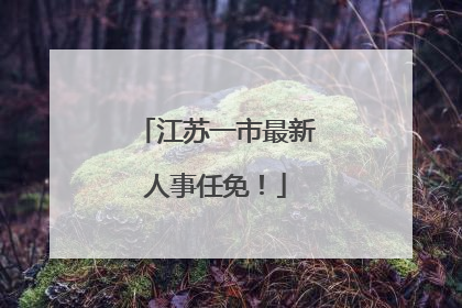 江苏一市最新人事任免！