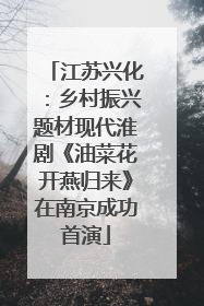江苏兴化：乡村振兴题材现代淮剧《油菜花开燕归来》在南京成功首演