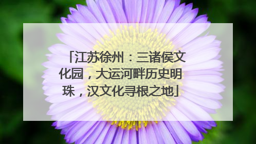 江苏徐州：三诸侯文化园，大运河畔历史明珠，汉文化寻根之地