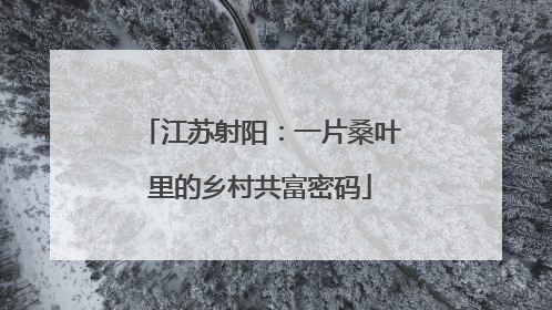 江苏射阳：一片桑叶里的乡村共富密码