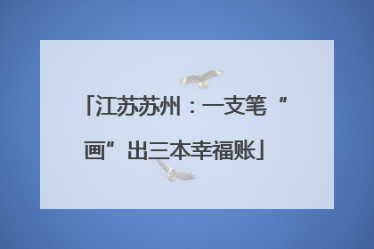 江苏苏州：一支笔“画”出三本幸福账