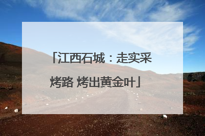 江西石城：走实采烤路 烤出黄金叶