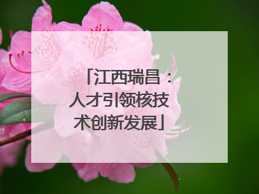 江西瑞昌：人才引领核技术创新发展
