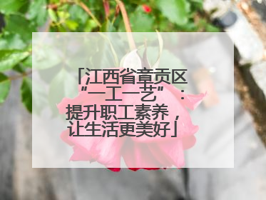 江西省章贡区“一工一艺”：提升职工素养，让生活更美好