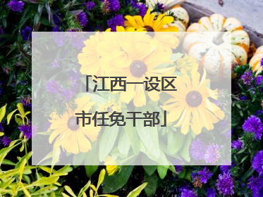 江西一设区市任免干部