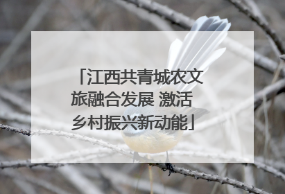 江西共青城农文旅融合发展 激活乡村振兴新动能
