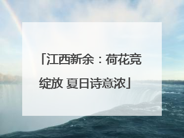 江西新余：荷花竞绽放 夏日诗意浓
