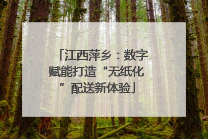 江西萍乡：数字赋能打造“无纸化”配送新体验