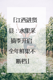 江西进贤县：水果采摘季开启 全年鲜果不断档