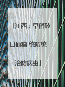 江西：早稻破口抽穗 统防统治防病虫
