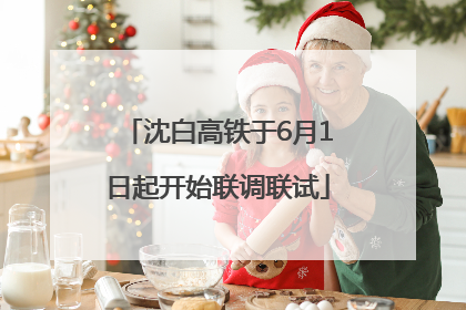 沈白高铁于6月1日起开始联调联试