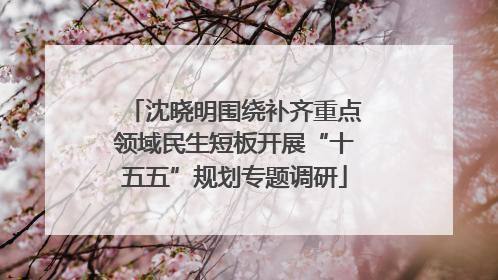 沈晓明围绕补齐重点领域民生短板开展“十五五”规划专题调研