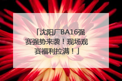 沈阳厂BA16强赛强势来袭！现场观赛福利拉满！
