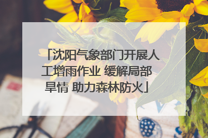 沈阳气象部门开展人工增雨作业 缓解局部旱情 助力森林防火