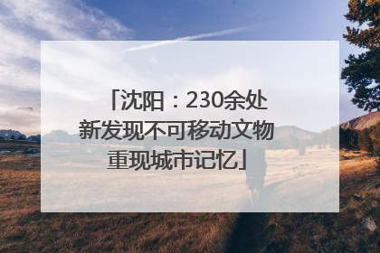沈阳：230余处新发现不可移动文物重现城市记忆