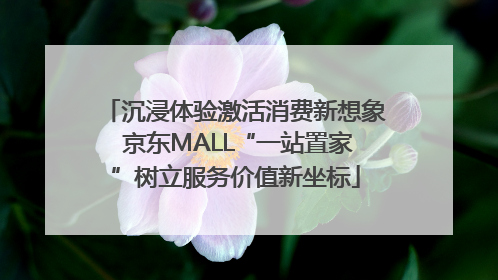 沉浸体验激活消费新想象 京东MALL“一站置家”树立服务价值新坐标