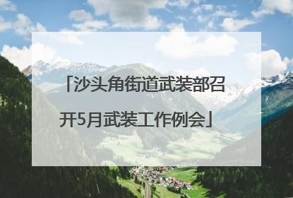 沙头角街道武装部召开5月武装工作例会