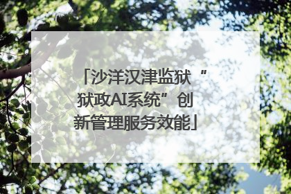 沙洋汉津监狱“狱政AI系统”创新管理服务效能