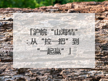 沪皖“山海情”：从“拉一把”到“一起赢”