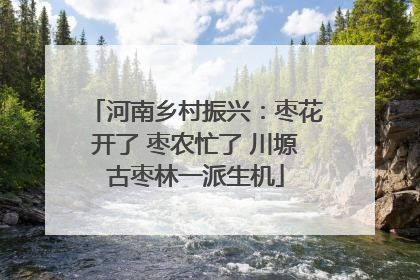 河南乡村振兴：枣花开了 枣农忙了 川塬古枣林一派生机