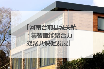 河南台前县城关镇：集智赋能聚合力 凝聚共识促发展