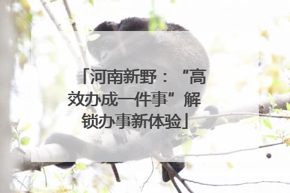 河南新野：“高效办成一件事”解锁办事新体验