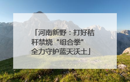 河南新野：打好秸秆禁烧“组合拳” 全力守护蓝天沃土