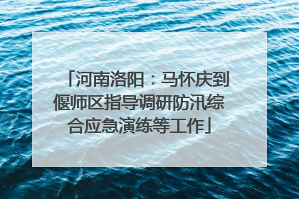 河南洛阳：马怀庆到偃师区指导调研防汛综合应急演练等工作
