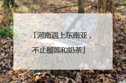 河南遇上东南亚，不止榴莲和奶茶