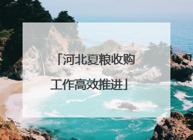河北夏粮收购工作高效推进