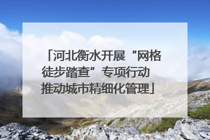河北衡水开展“网格徒步踏查”专项行动 推动城市精细化管理