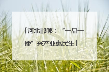 河北邯郸：“一品一播”兴产业惠民生