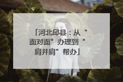 河北邱县：从“面对面”办理到“肩并肩”帮办