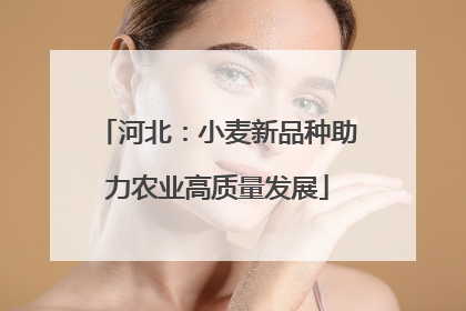 河北：小麦新品种助力农业高质量发展