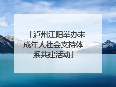 泸州江阳举办未成年人社会支持体系共建活动