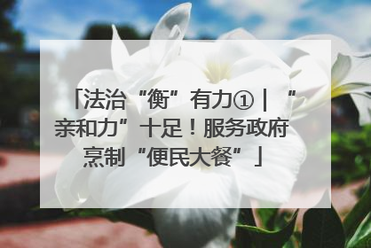 法治“衡”有力①｜“亲和力”十足！服务政府烹制“便民大餐”