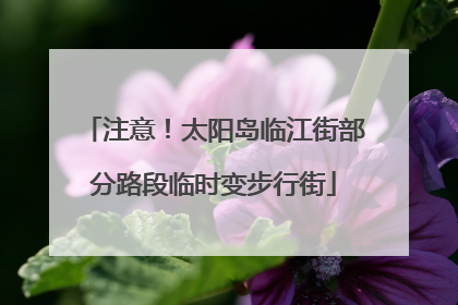 注意！太阳岛临江街部分路段临时变步行街