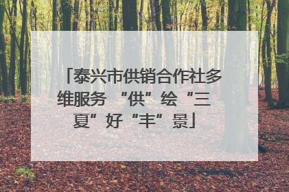 泰兴市供销合作社多维服务 “供”绘“三夏”好“丰”景