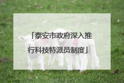 泰安市政府深入推行科技特派员制度