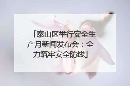 泰山区举行安全生产月新闻发布会：全力筑牢安全防线