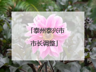 泰州泰兴市市长调整