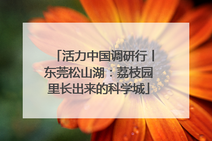 活力中国调研行丨东莞松山湖：荔枝园里长出来的科学城