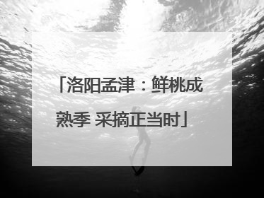 洛阳孟津：鲜桃成熟季 采摘正当时