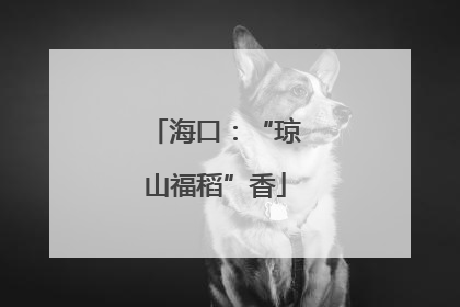 海口：“琼山福稻”香