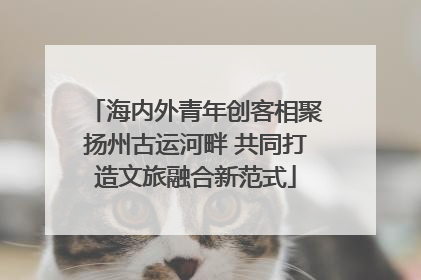 海内外青年创客相聚扬州古运河畔 共同打造文旅融合新范式