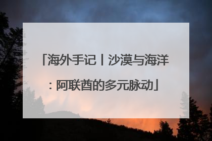 海外手记丨沙漠与海洋：阿联酋的多元脉动