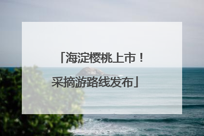 海淀樱桃上市！采摘游路线发布