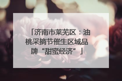 济南市莱芜区：油桃采摘节催生区域品牌“甜蜜经济”