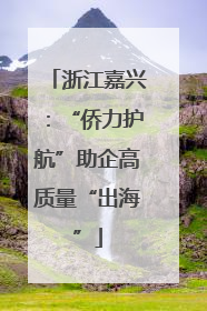 浙江嘉兴：“侨力护航”助企高质量“出海”